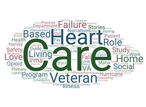 Dr. Johnson-Koenke's publication titles indicate their primary work is care of Veterans