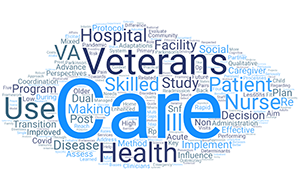 Dr. Ayele's publication titles indicate primary work is Veteran care