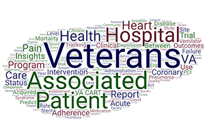 Dr. Carey's publication titles indicate their primary work is care of Veterans