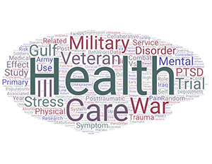Dr. Engel's publication titles indicate their primary work is care of Veterans