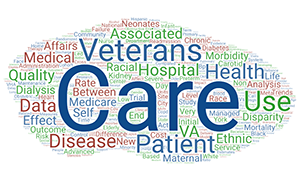 Dr. Hebert's publication titles indicate their primary work is care of Veterans