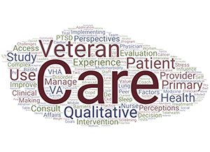 Dr. Sayre's publication titles indicate their primary work is care of Veterans