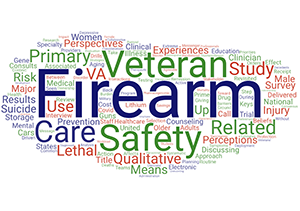 Dr. Simonetti's publication titles indicate their primary work is firearm safety