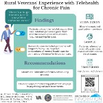 There's a huge benefit just to know that someone cares: a qualitative examination of rural veterans' experiences with TelePain