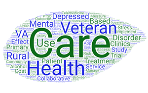 Dr. Fortney's publication titles indicate primary work is Veteran care
