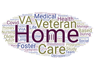 Dr. Haverhals' publication titles indicate his primary work is care of Veterans
