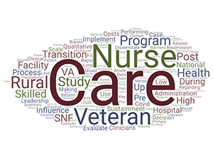 Dr. Leonard's publication titles indicate his primary work is care of Veterans