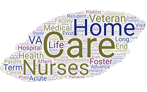 Dr. Levy's publication titles indicate primary work is Veteran care