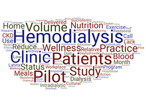 Dr. Perez's publication titles indicate his primary work is Veteran health