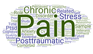 Dr. Reed's publication titles indicate his primary work is Veteran health