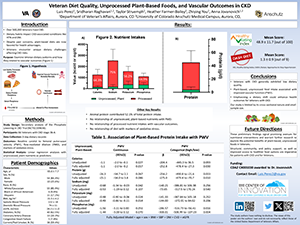 Home-Delivered Meal Engagement Among Hemodialysis Patients and Providers in Denver