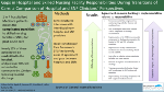 Gaps in Hospital and Skilled Nursing Facility Responsibilities During Transitions of Care: a Comparison of Hospital and SNF Clinicians' Perspectives